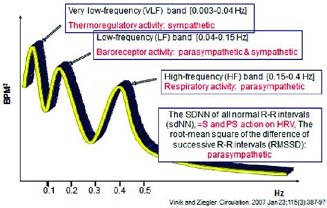 lffnu|Interpretation of Normalized Spectral Heart Rate Variability .